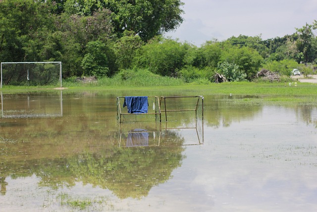 理策略不仅 理策略不仅