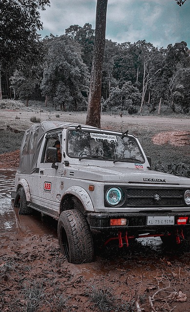 從角色球員 從角色球員