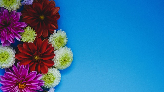 我们不仅分 我们不仅分