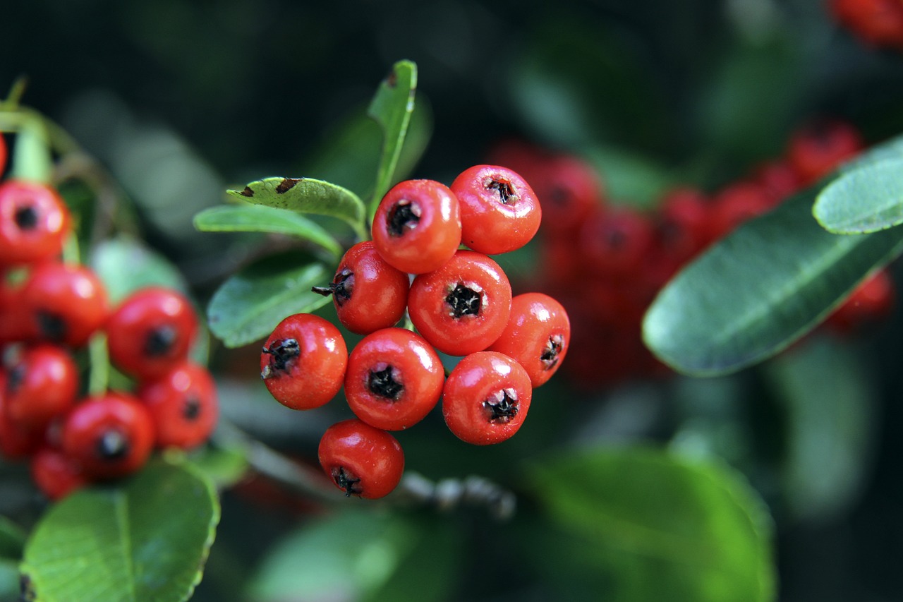 皆凭借细腻 皆凭借细腻