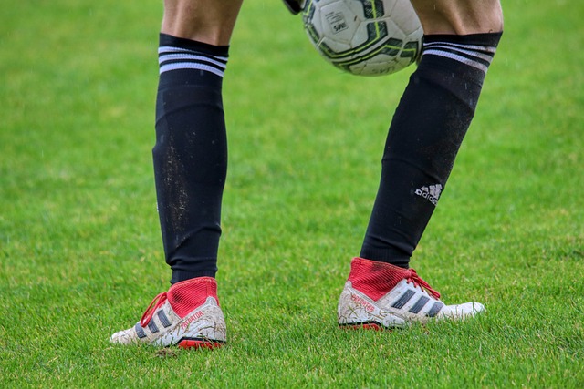 不仅是对他 不仅是对他