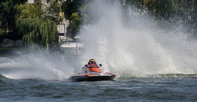 经过严格挑 经过严格挑