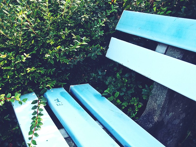 的转会传闻 的转会传闻